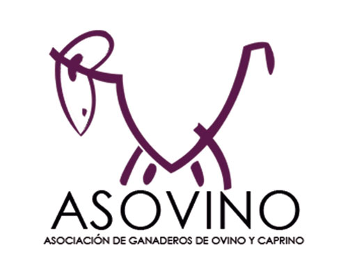Asovino