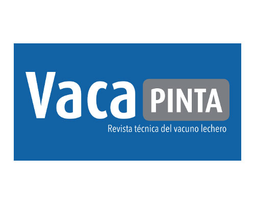 Vaca Pinta